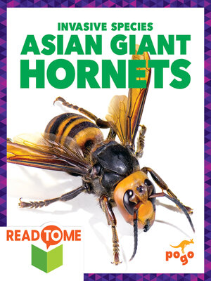 cover image of Asian Giant Hornets